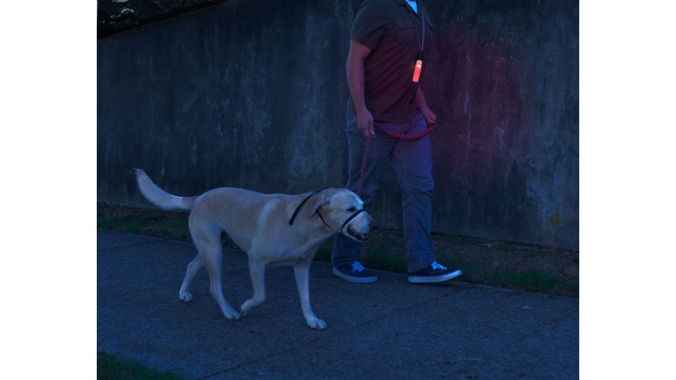 Shed, Seattle Sports GloStick USB-GLOSTICK/Red