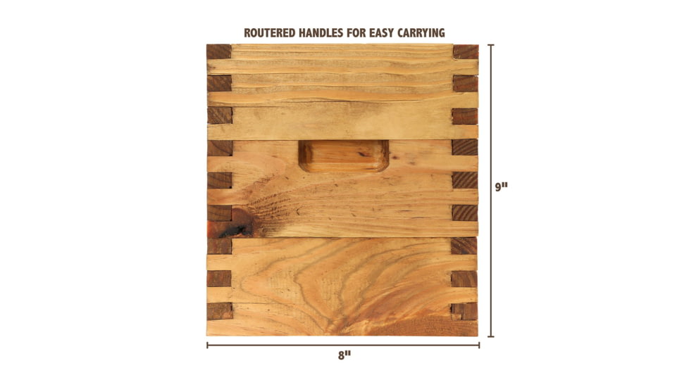 Sheffield Standard Pine Craft Box, Alligator Design, Brown, 12650-5