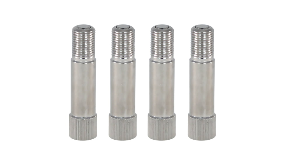 Slime Metal Tire Valve Extenders, Silver, 2045-A