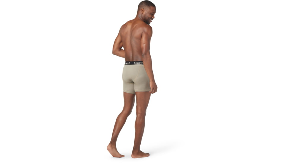 Smartwool Merino 150 Plant-Based Dye Boxer Brief Boxed - Mens, J41 Light Flint Wash, Large, SW016818J41L