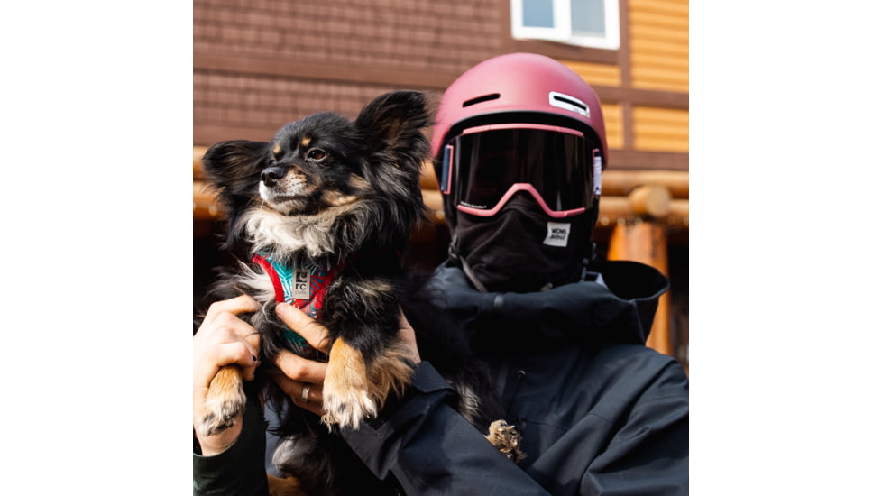 Smith Maze Mips Helmet, Matte Sangria, Small, E006710SX5155