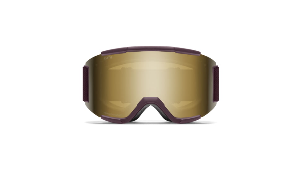 Smith Squad Goggle