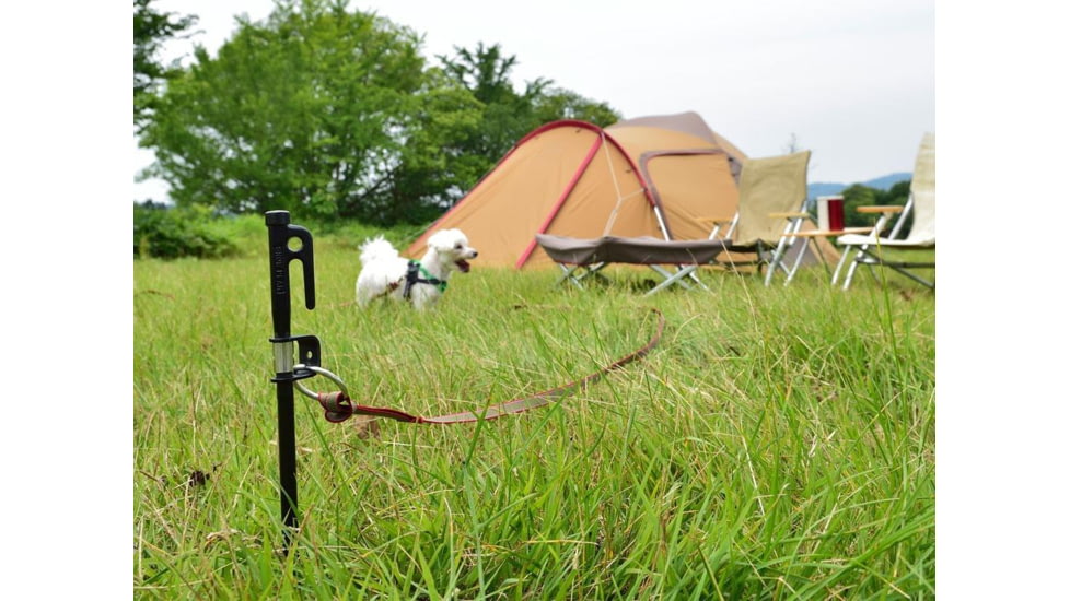 Snow Peak Dog lead Anchor 50 Stake, L 19in W 3in, PT-032