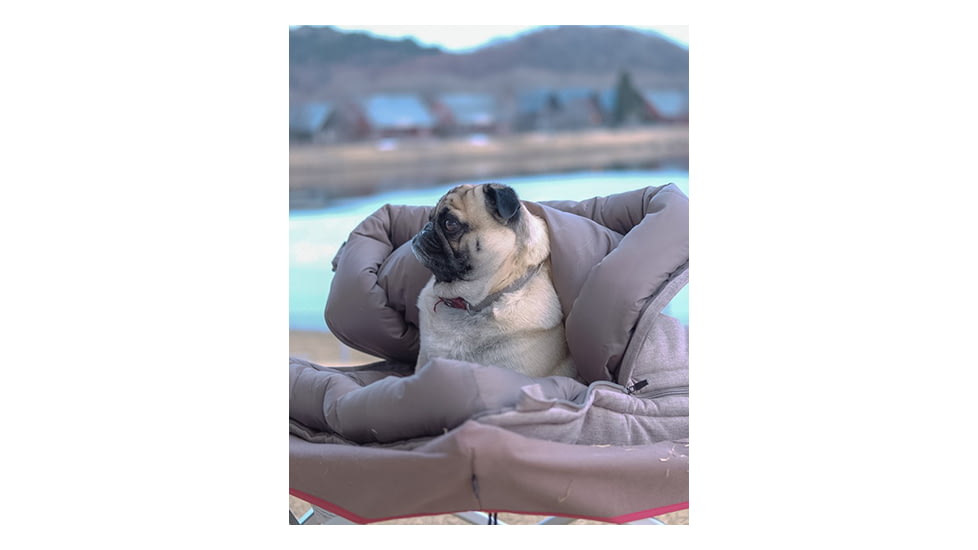 Snow Peak Dog Ofuton Sleeping Bag, Gray, One Size, PT-085