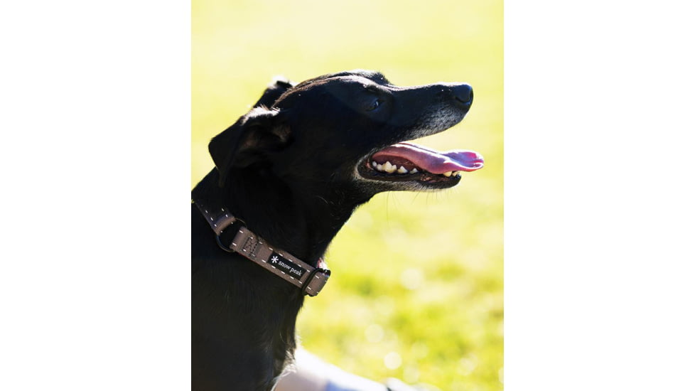 Snow Peak Tape Collar, Grey/Red, Small, PT-110