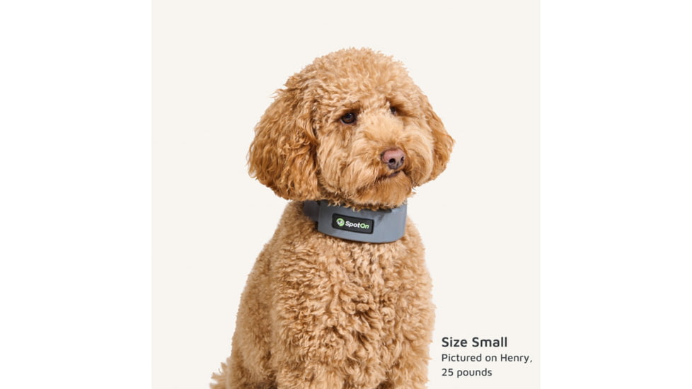 SpotOn Fence GPS Dog Fence Collar, Grey/Black, Small, SOMN638113