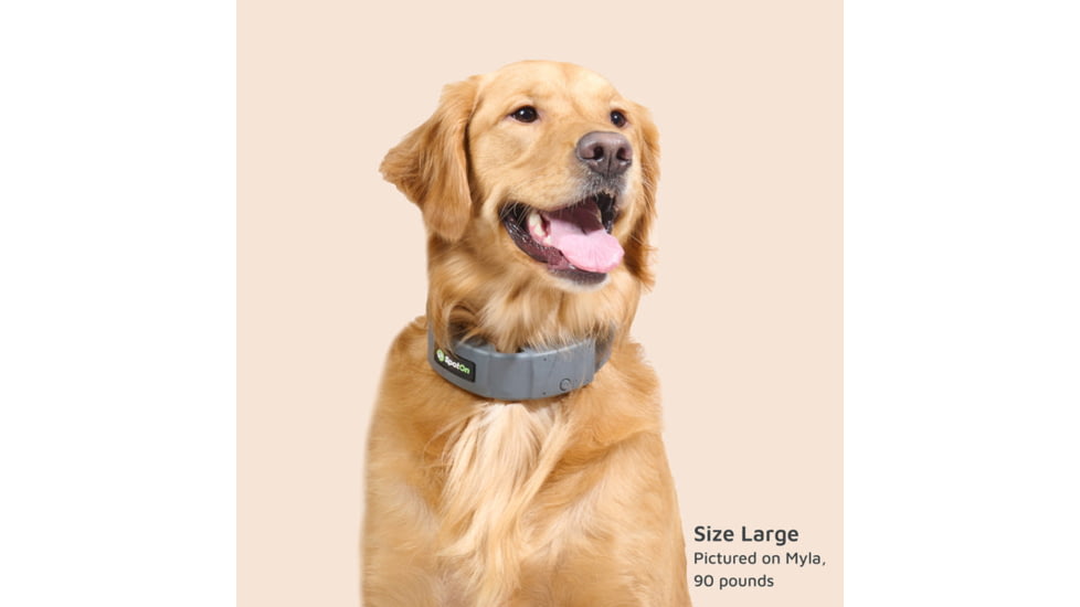 SpotOn Fence GPS Dog Fence Collar, Grey/Black, Small, SOMN638113