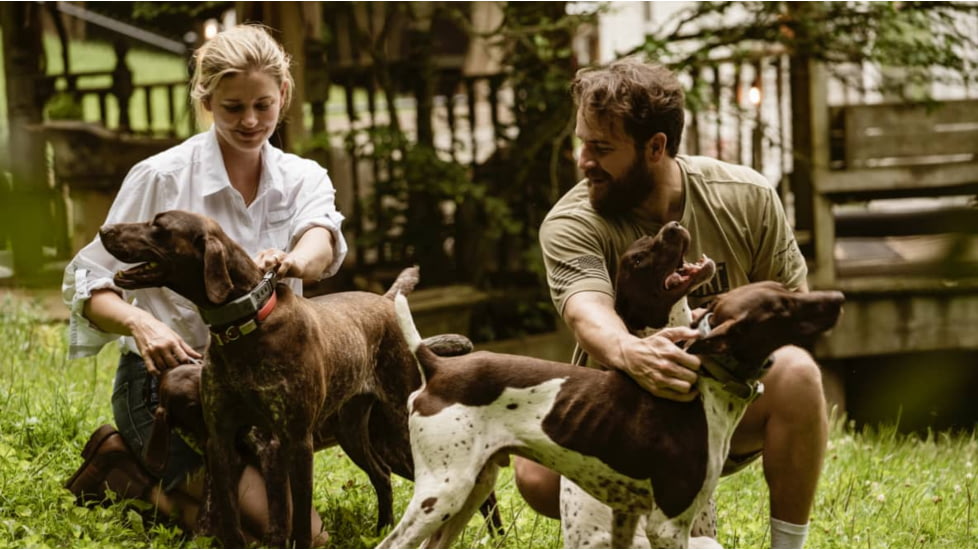 SpotOn Fence GPS Dog Fence Collar, Grey/Black, Small, SOMN638113