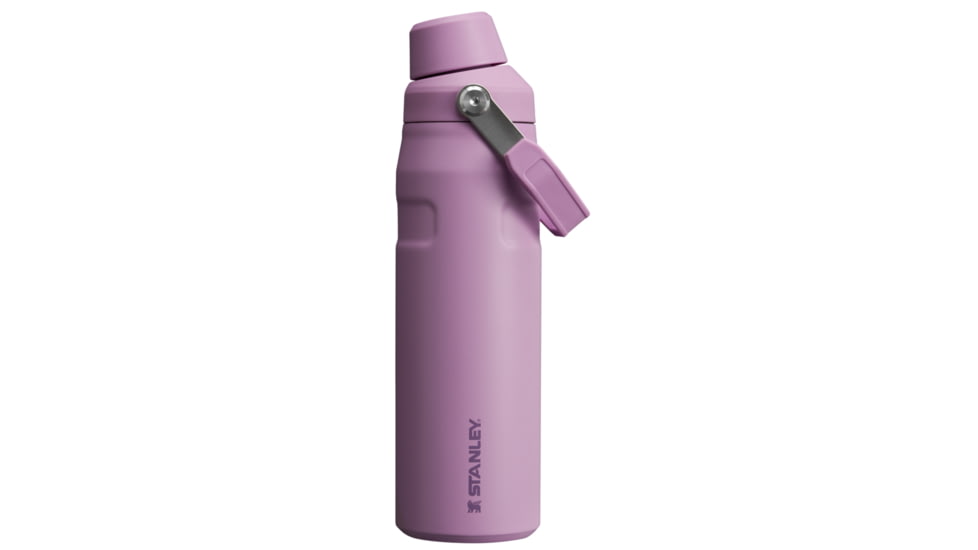 Stanley The IceFlow Fast Flow 24 oz Bottle with Fast Flow Lid, Lilac, 24 oz / 0.71 L, 10-11287-017