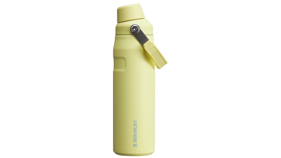 Stanley The IceFlow Fast Flow 24 oz Bottle with Fast Flow Lid, Pomelo, 24 oz / 0.71 L, 10-11287-014