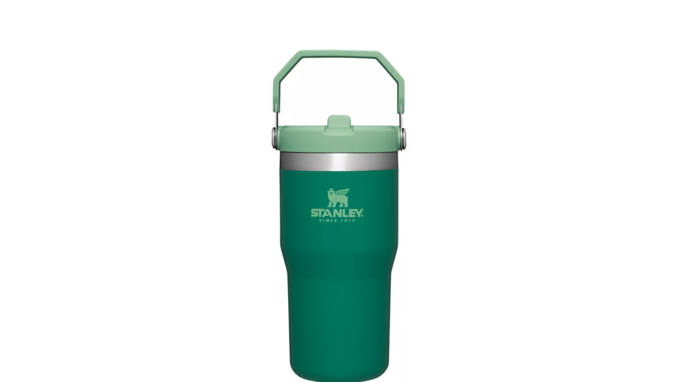 Stanley The IceFlow Flip Straw Tumbler - 20oz, Alpine, 20 oz, 10-09994-136