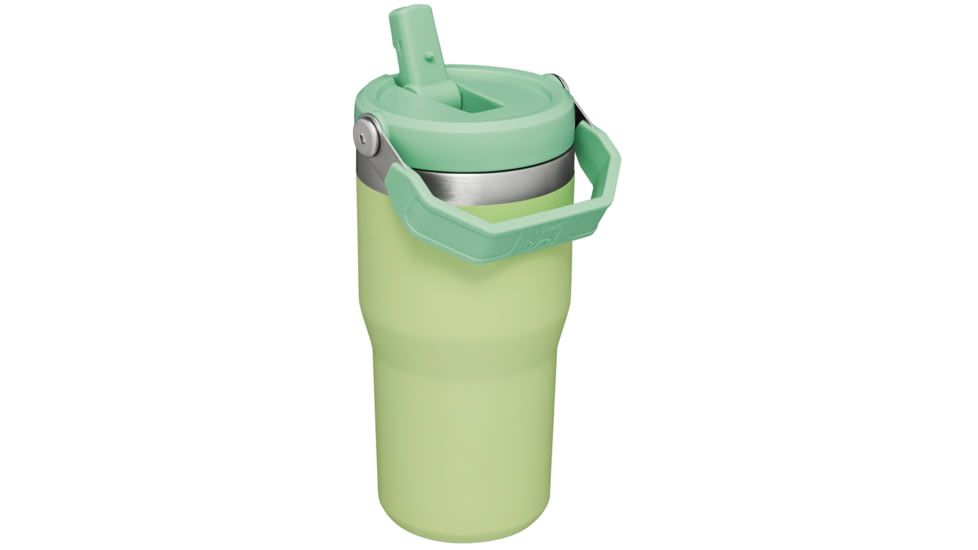 Stanley The IceFlow Flip Straw Tumbler - 20oz, Citron, 20 oz, 10-09994-134