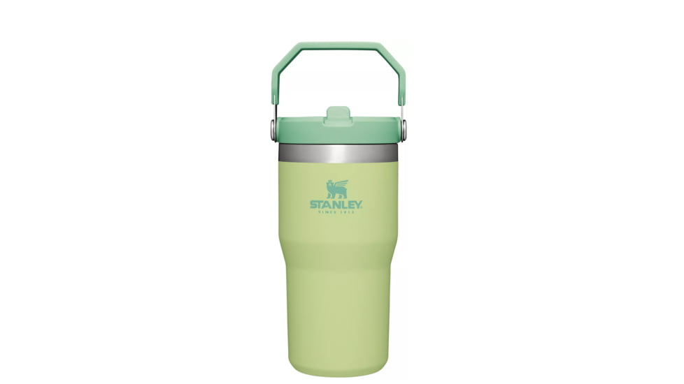 USED Stanley The IceFlow Flip Straw Tumbler - 20oz, Citron, 20 oz, 10-09994-134, EDEMO1