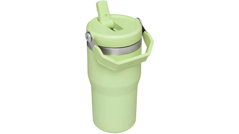 Stanley The IceFlow Flip Straw Tumbler - 20oz, Citron Cub, 20 oz, 10-09994-124