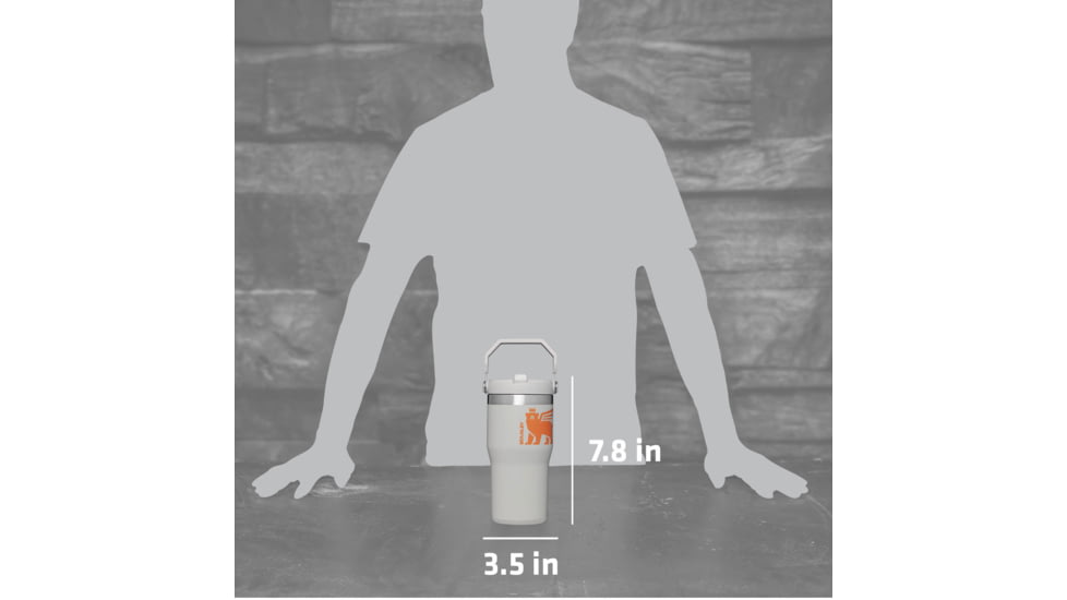 Stanley The IceFlow Flip Straw Tumbler - 20oz, Pool Cub, 20 oz, 10-09994-107