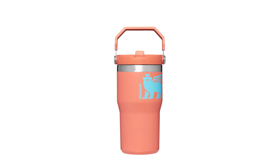 Stanley The IceFlow Flip Straw Tumbler - 20oz, Grapefruit Cub, 20 oz, 10-09994-106