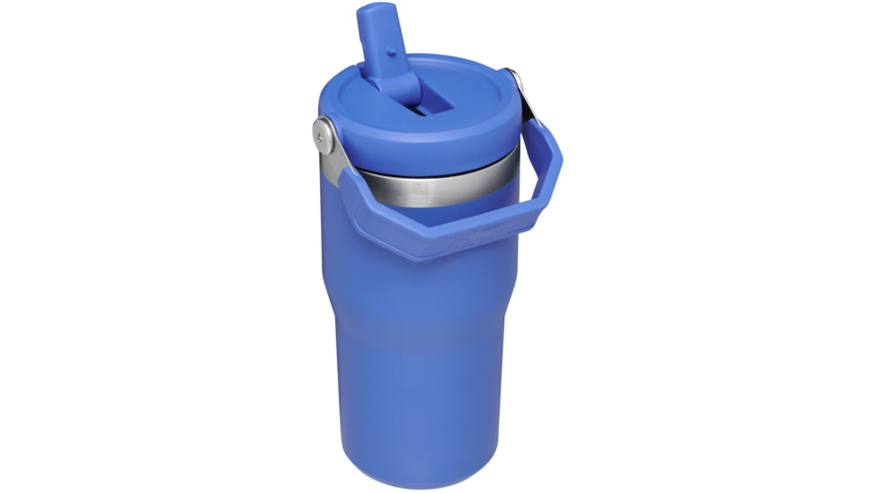 Stanley The IceFlow Flip Straw Tumbler - 20oz, Iris Cub, 20 oz, 10-09994-126
