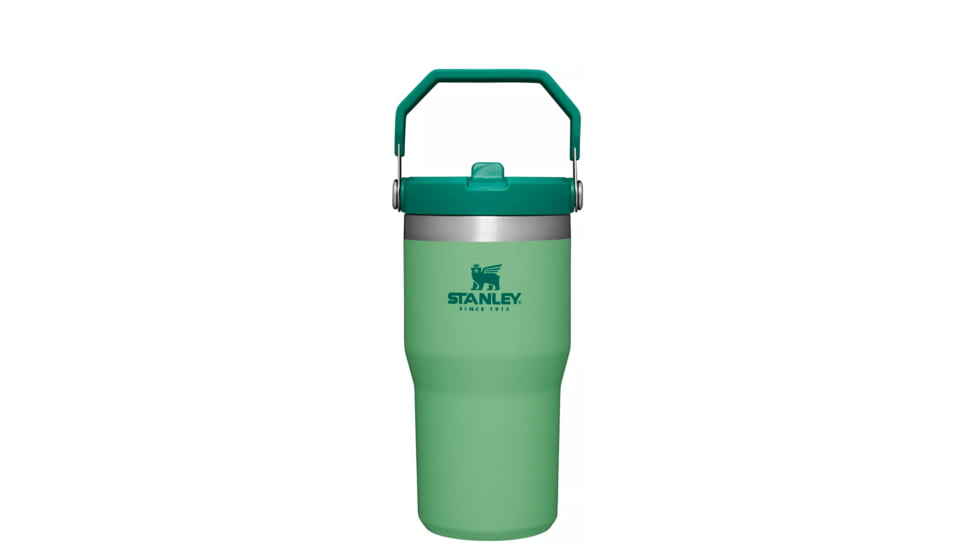 Stanley The IceFlow Flip Straw Tumbler - 20oz, Jade, 20 oz, 10-09994-135