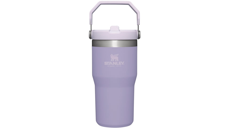 Stanley The IceFlow Flip Straw Tumbler - 20oz, Lavender, 20 oz, 10-09994-132