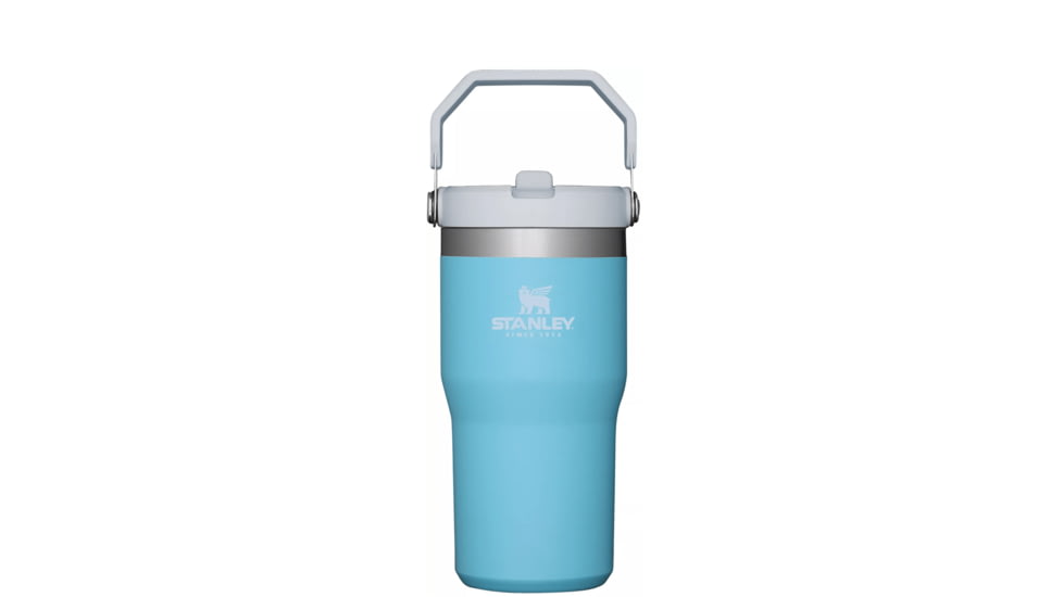 Stanley The IceFlow Flip Straw Tumbler - 20oz, Pool, 20 oz, 10-09994-094