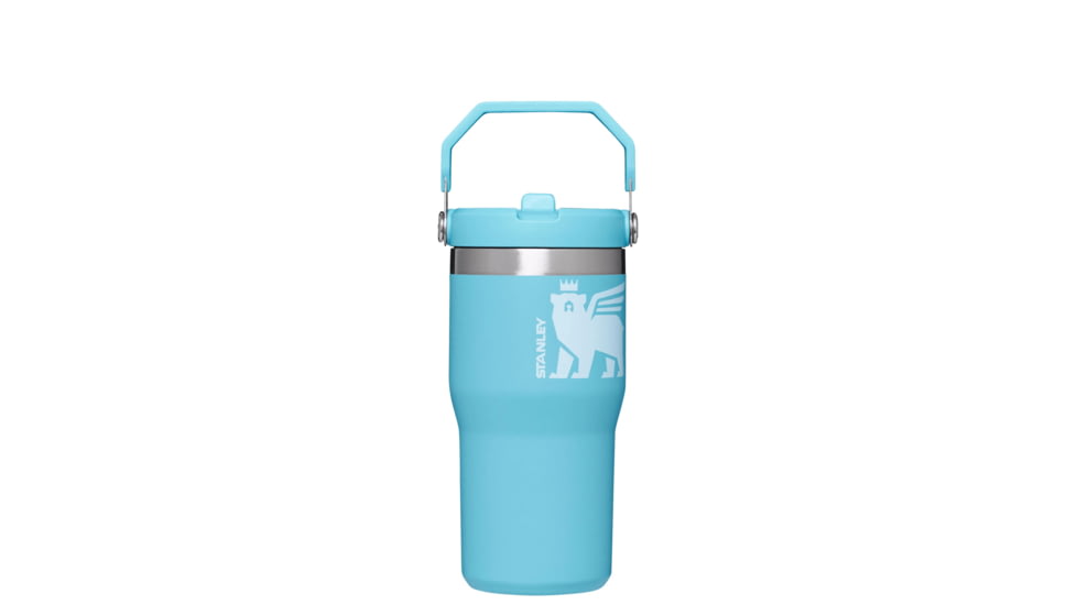 Stanley The IceFlow Flip Straw Tumbler - 20oz, Pool Cub, 20 oz, 10-09994-107