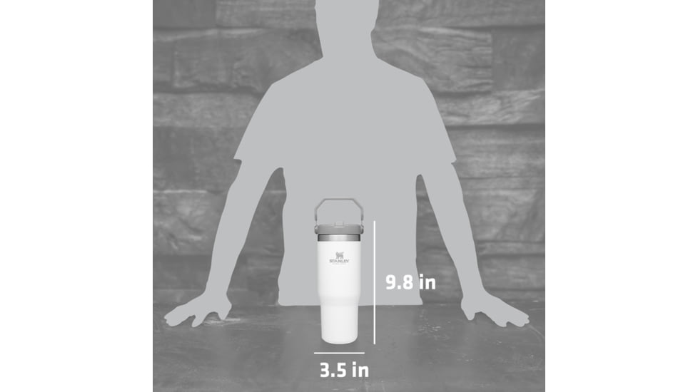 Stanley The IceFlow Flip Straw Tumbler, Citron, 30 oz, 10-09993-179