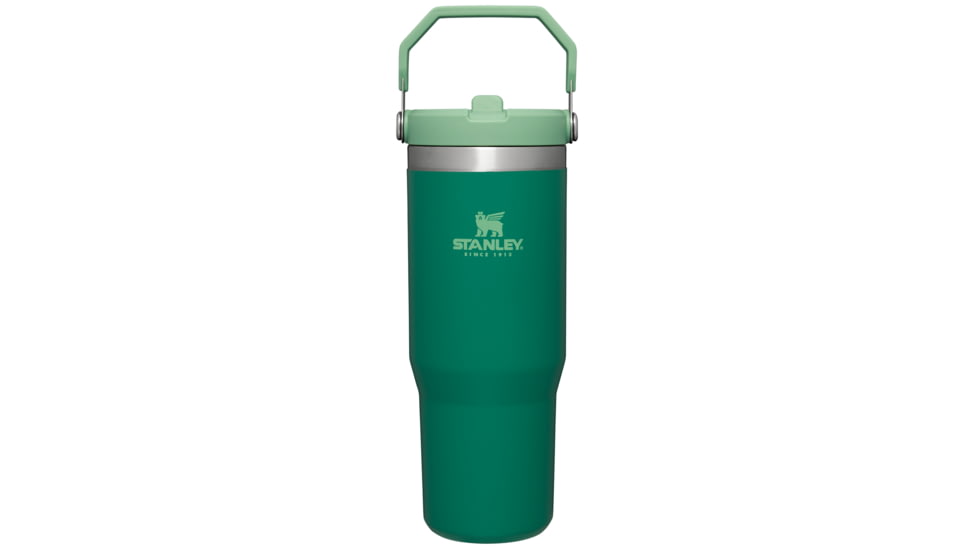 Stanley The IceFlow Flip Straw Tumbler, Alpine, 30 oz, 10-09993-181