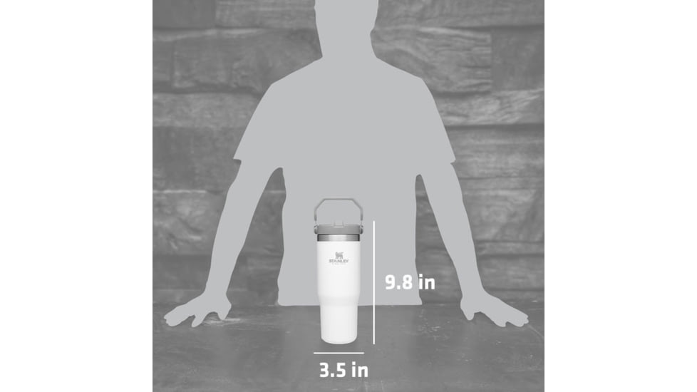 Stanley The IceFlow Flip Straw Tumbler, Iris, 30 oz, 10-09993-177