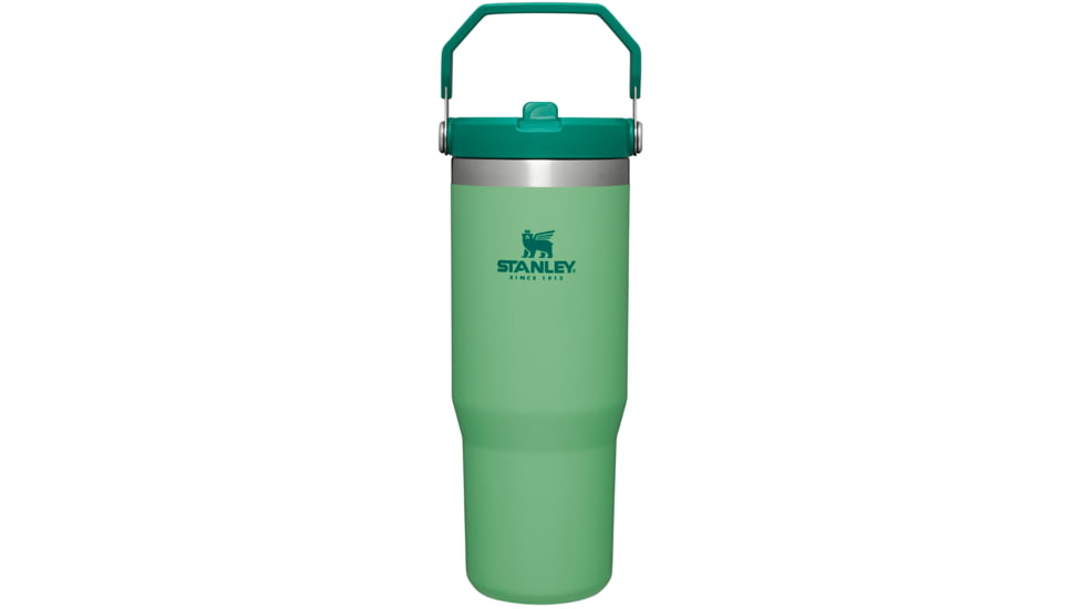 Stanley The IceFlow Flip Straw Tumbler, Jade, 30 oz, 10-09993-180