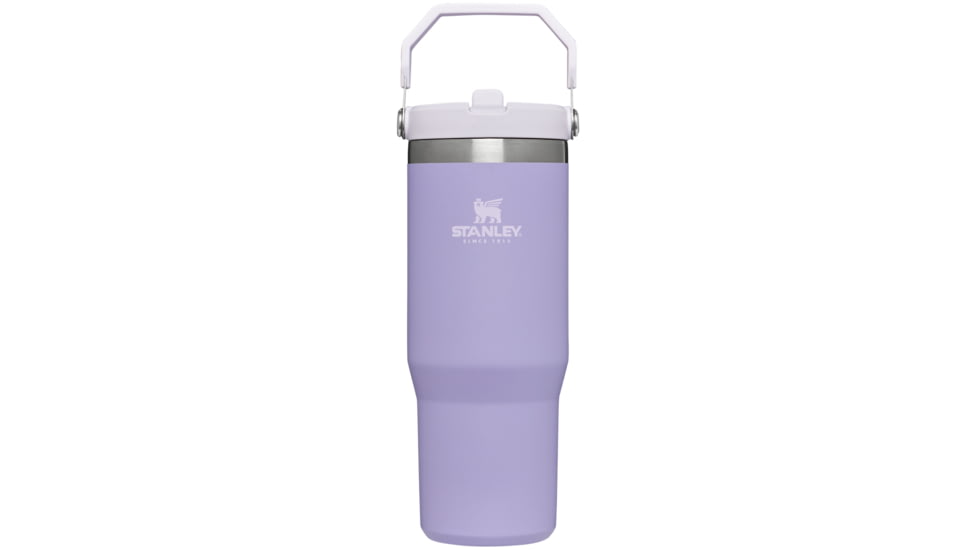 Stanley The IceFlow Flip Straw Tumbler, Lavender, 30 oz, 10-09993-133