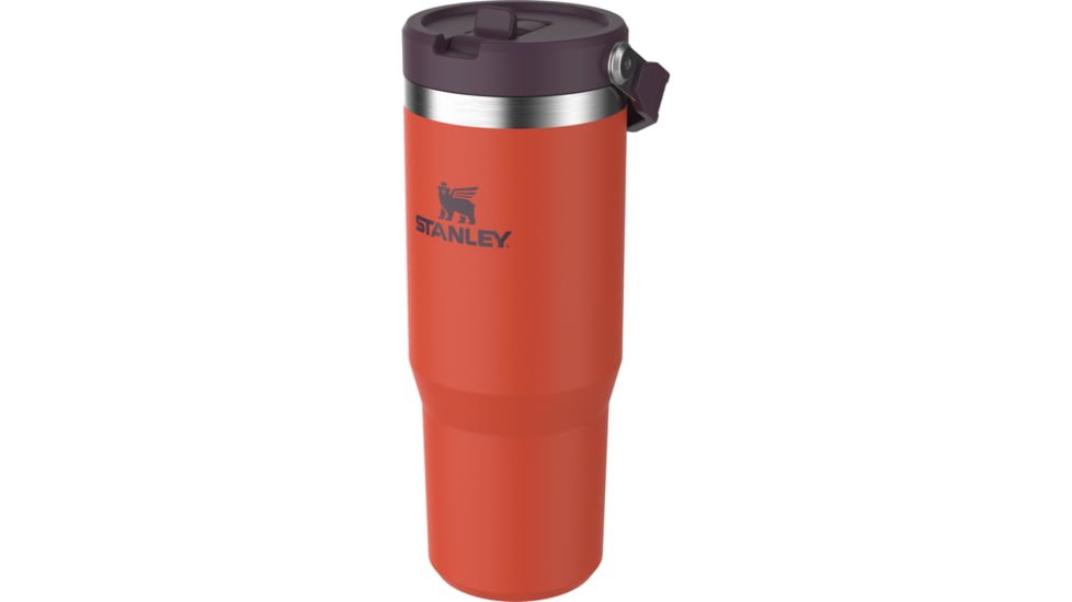 Stanley The IceFlow Flip Straw Tumbler, Tigerlily Plum, 30 oz/0.89 L, 10-09993-321