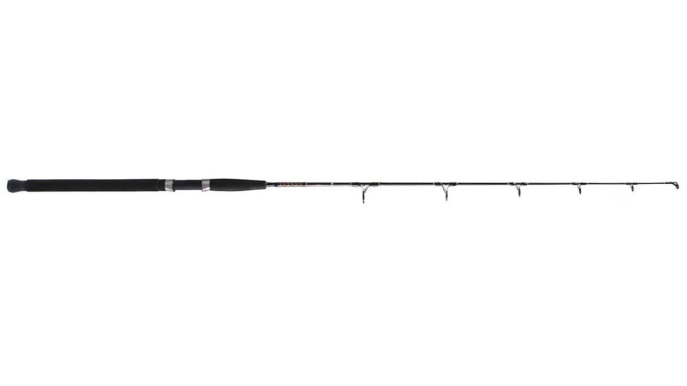 Star Rods Aerial Jigging Spinning Rod, Heavy, 50-80lb, Braid, 1 Piece, Eva Grips, 6, EXJS60H
