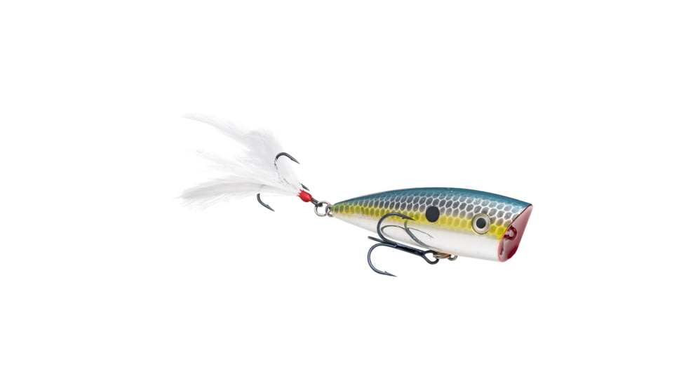 Strike King KVD Splash Jr Fishing Lure, Topwater Popper, Chrome Sexy Shad, 3/16oz, HCKVDSPLJR-514, HCKVDSPLJR-514