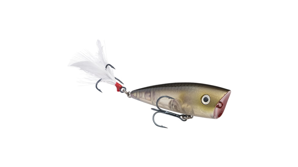 Strike King KVD Splash Jr Fishing Lure, Topwater Popper, Clearwater Minnow, 3/16oz, HCKVDSPLJR-684, HCKVDSPLJR-684