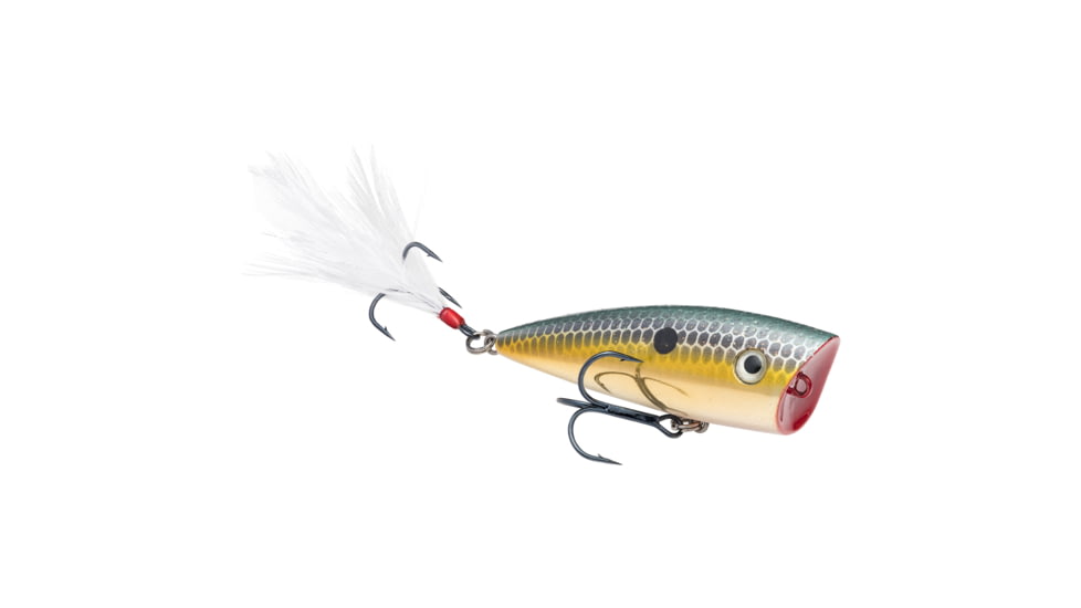 Strike King KVD Splash Jr Fishing Lure, Topwater Popper, Gold Sexy Shad, 3/16oz, HCKVDSPLJR-620, HCKVDSPLJR-620