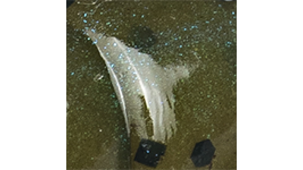 Strike King Rattlin’ Rage Craw Fishing Lure, Soft Plastic Craw, Blue Craw, 4in, 5-Pack, RGCRWR4-108, RGCRWR4-108