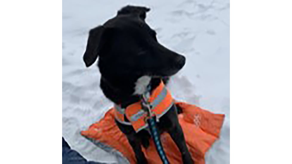 Survive Outdoors Longer Escape Insulated Trail Seats, 0140-2005