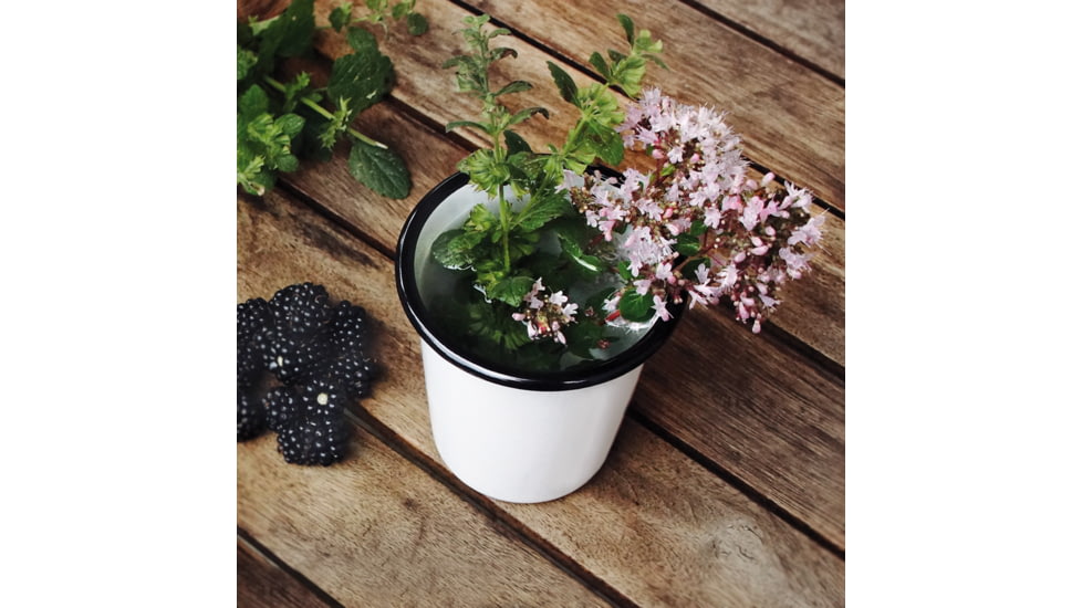 Swiss Advance COELO Enamel Cup