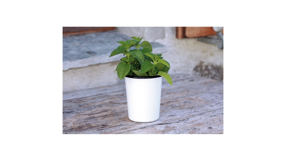 Swiss Advance COELO Enamel Cup