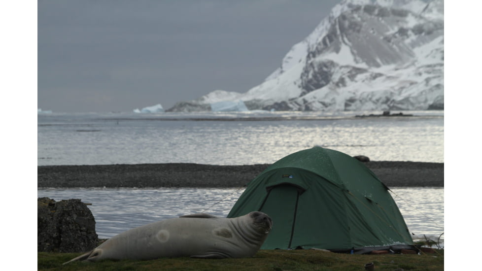 Terra Nova Quasar Tent - 2 Person, Green, 41QGF