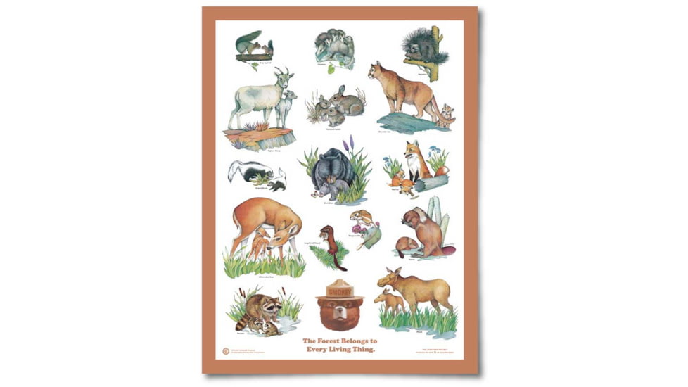The Landmark Project Baby Animals Educational Posters, baby-animals-educ-poster