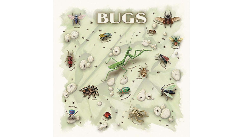 The Printed Image Bugs Bandana 609