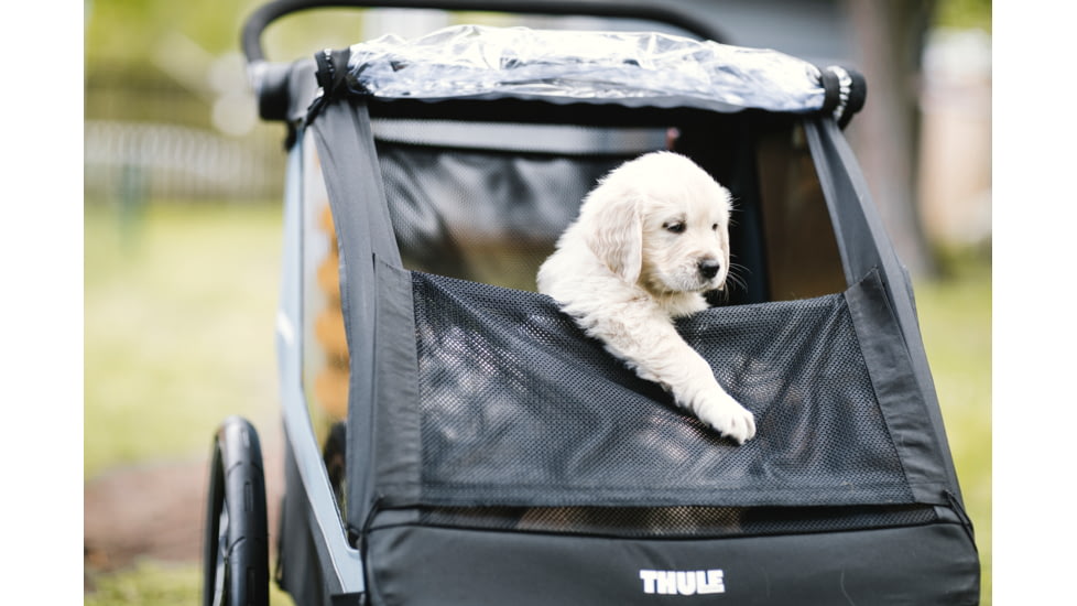 Thule Courier Pet Kit, Aegean Blue, 20301001