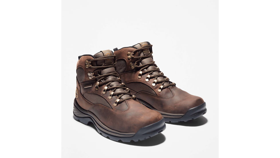 Timberland Chocorua Shoes - Mens, Medium Brown, 9, Medium, TB11513021009000M