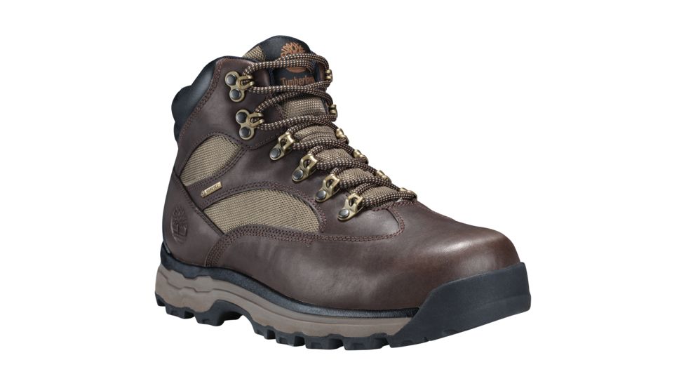 Timberland Chocorua Trail 2 Mid GTX Hiking Boots, Medium - Mens, Dark Brown/Green, 10.5 US TB0A1HKQA66-105M