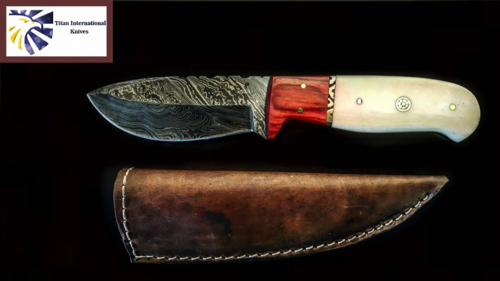 Titan Damascus Fixed Blade Knife 8in TD-097, TDK-97