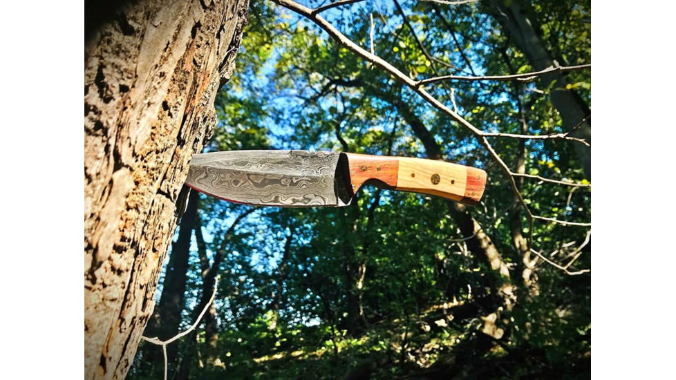 EDEMO Titan Damascus Steel Fixed Knife 8.6in, TD-087, EDEMO1