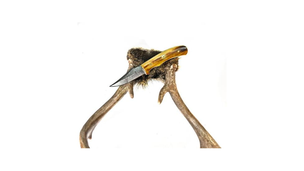 Titan International Knives Damascus Burnt Bone Handle Fixed Blade Hunting Knife, 8 inch, TDK-215