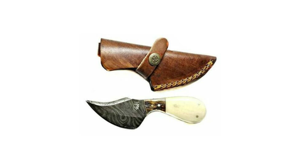 Titan Skinner Camel Bone Stag Handle 6 in Blade Knife TD-043, TDK-43