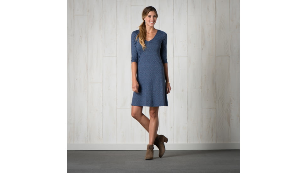 Toad&amp;Co Rosalinda Dress-Indigo Nordic Print-Small